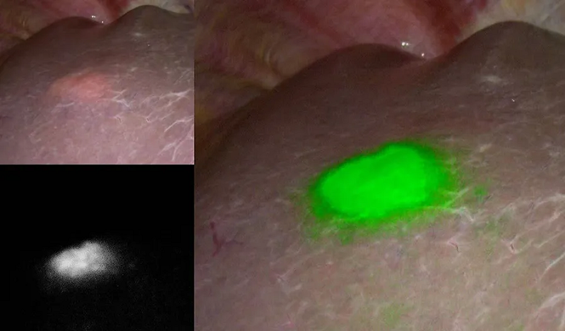 君创Portfolio|数字精准荣获2024年广东省科技进步奖二等奖